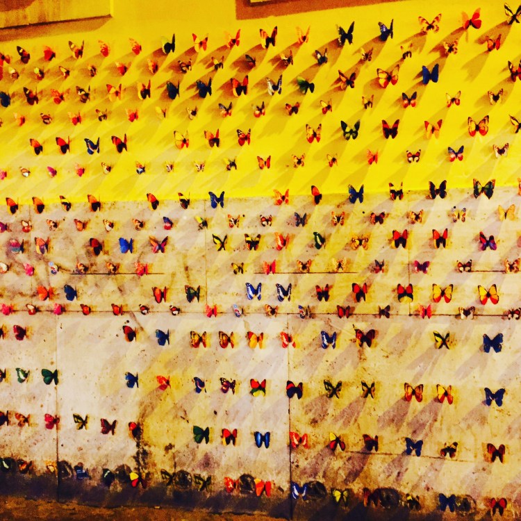 9764B894-AA49-4ED8-B73D-D1182B68F2E5